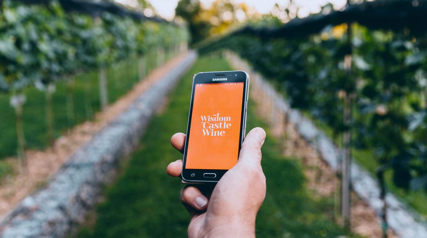 Nosilna podoba aplikacije Modrosti o grajski trti in vinu.