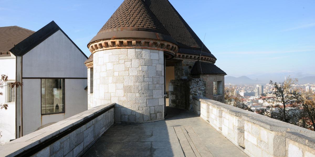 Erazmova kula