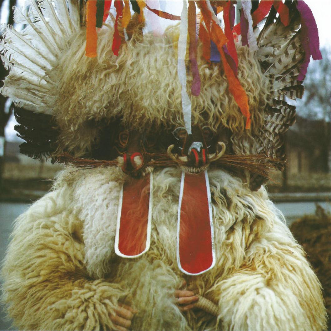 Bojan Adamič: »Pustne maske«; foto: osebni arhiv