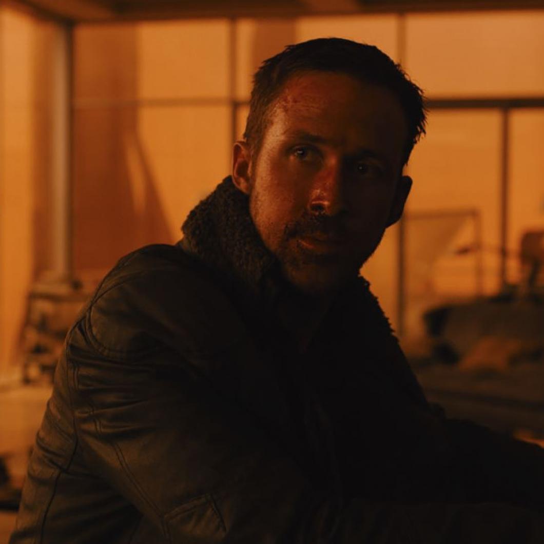 Iztrebljevalec 2049