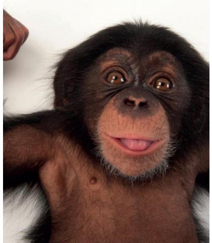 Joel Sartore's »Photo Ark«