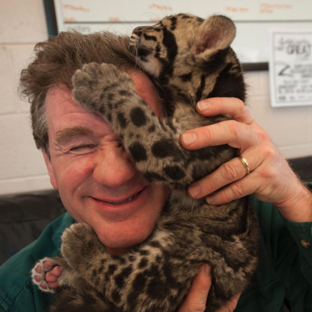 Portret Joela Sartoreja; Pri fotografiranju v živalskem vrtu je mladič dimastega leoparda fotografu splezal na glavo. Te leoparde, ki živijo v azijskih tropskih gozdovih, nezakonito lovijo zaradi krzna s čudovitimi vzorci. FOTOGRAFIJA: GRAHM S. JONES, ŽIVALSKI VRT IN AKVARIJ V COLUMBUSU, ZDA<br />
