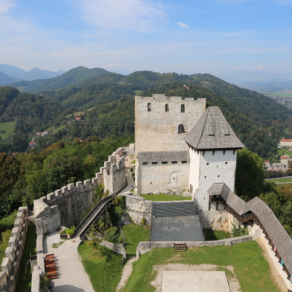 Srednjeveške grajske stavbe v Sloveniji