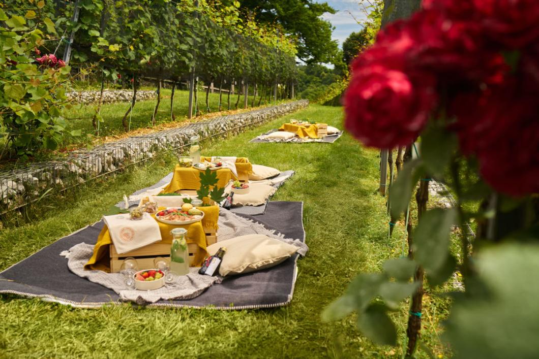 Picnic among the Castle grapevines. Photo: Blaž Žnidarič