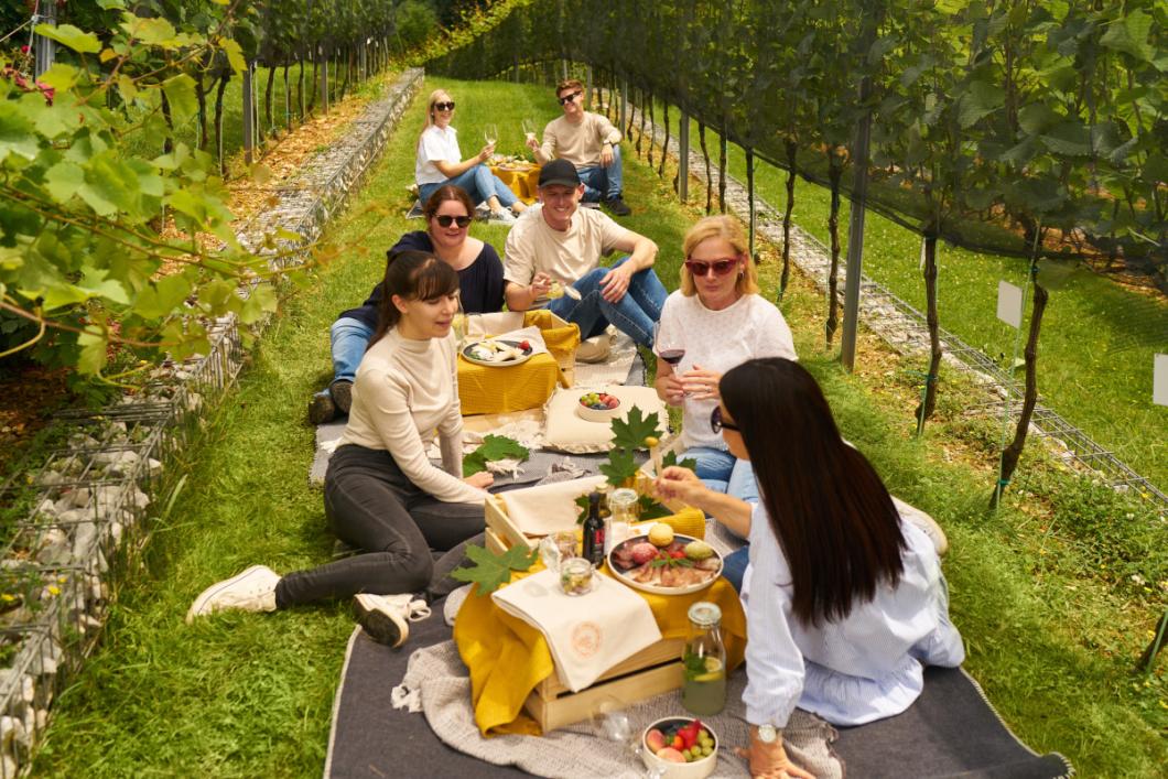 Picnic among the Castle grapevine. Photo: Blaž Žnidarič
