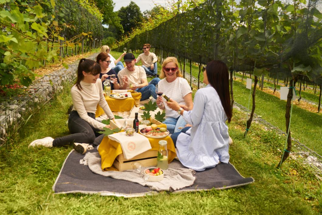 Picnic among the Castle grapevines. Photo: Blaž Žnidarič