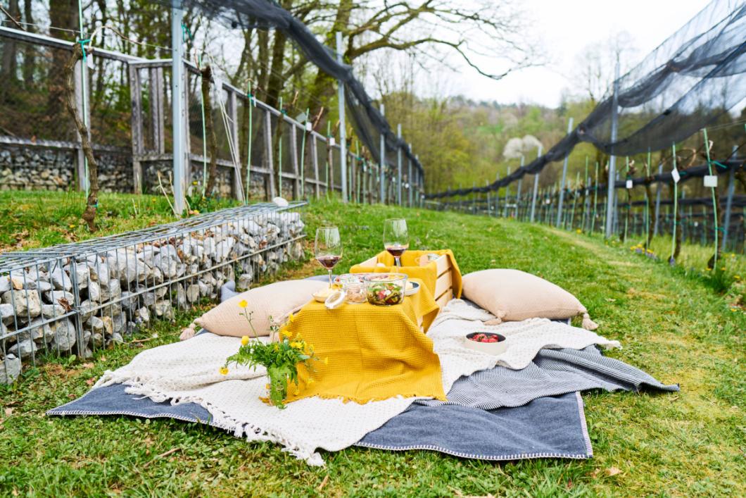 Picnic among the Castle grapevine. Photo: Blaž Žnidarič