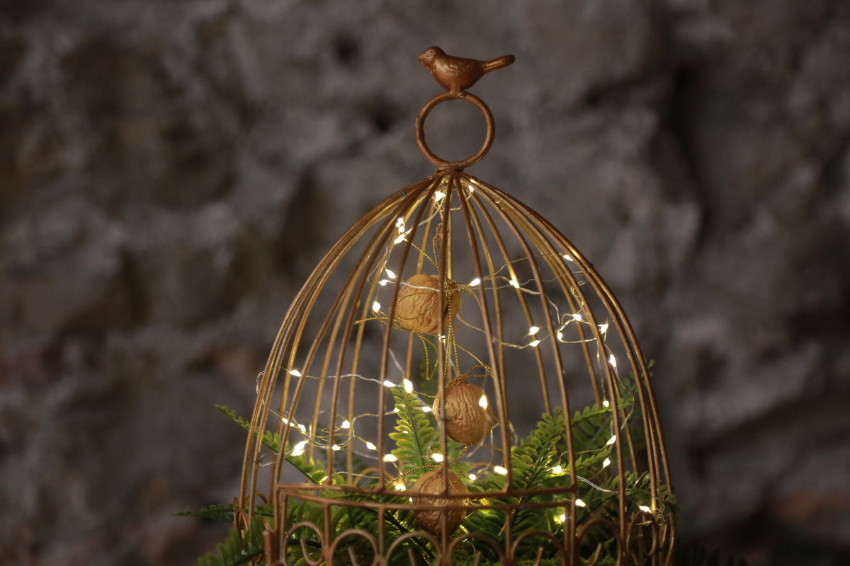 Zima potrebuje pomoč, zlata kletka. Foto: Miha Mally