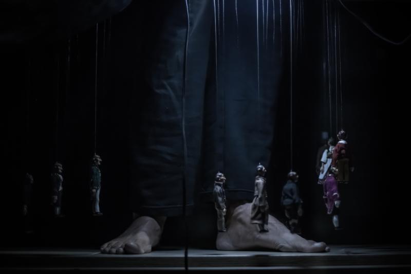 Misterij sove. Foto: Jaka Varmuz