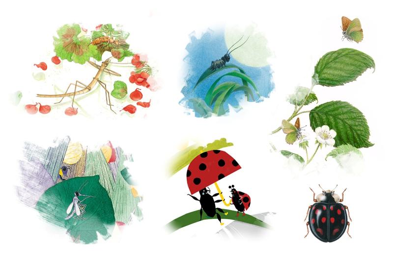 Žuželke med znanostjo in domišljijo