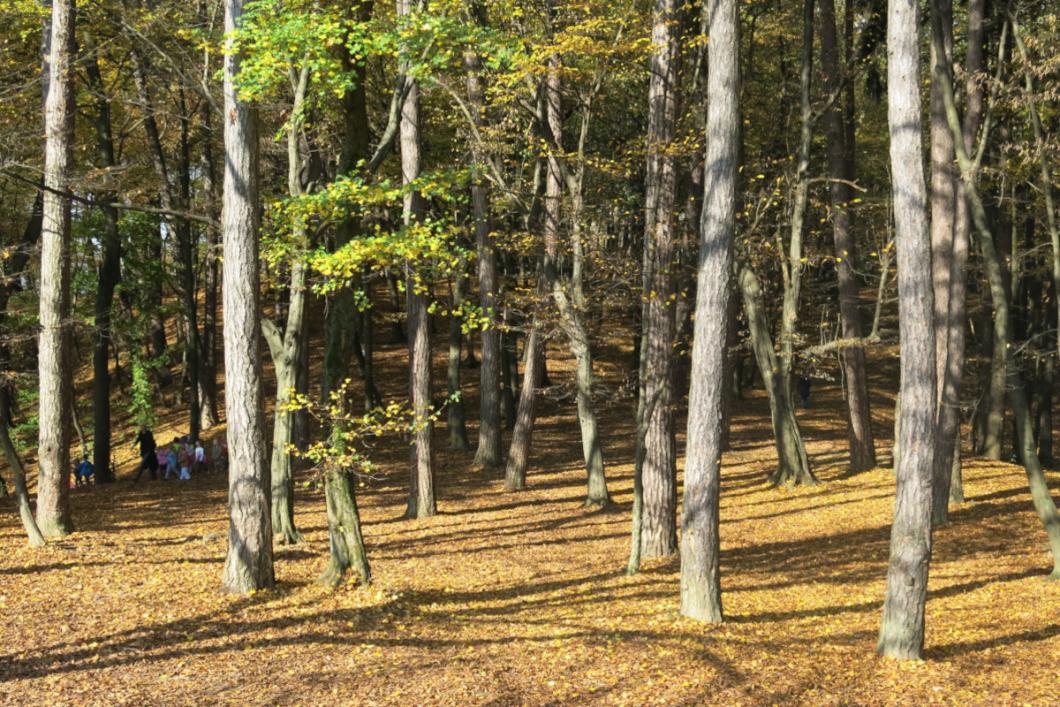 Grajski grič. Foto: arhiv LG
