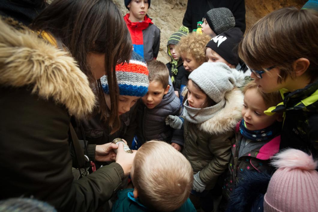 Zmajske pustolovske počitnice. Foto: Domen Pal