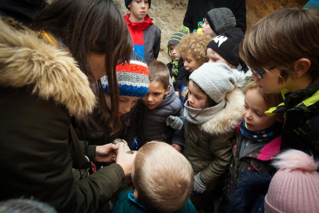 Zimske počitnice. Foto: Domen Pal