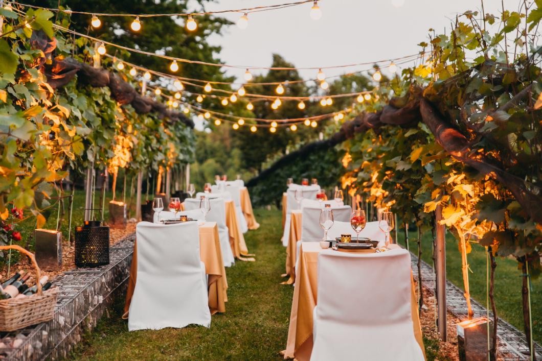 Dinner at the Castle Vineyard. Photo: Matic Kremžar