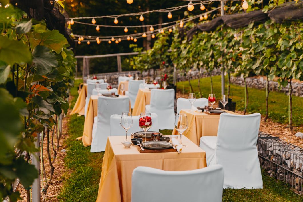 Dinner at the Castle Vineyard. Photo: Matic Kremžar