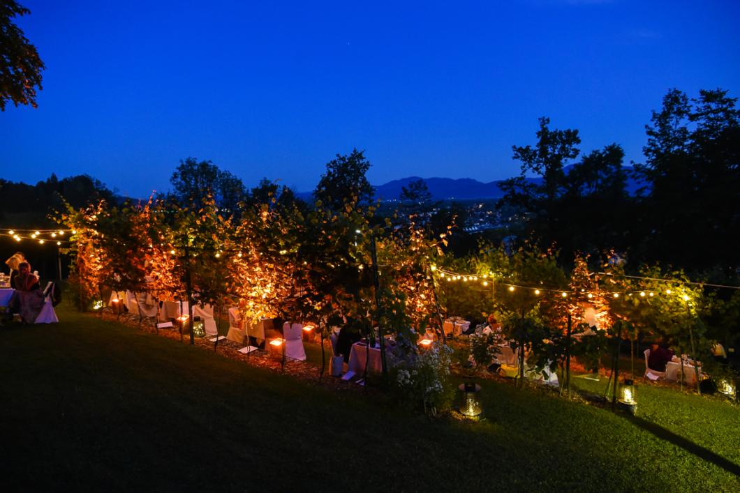 Dinner in the Castle Vineyard. Photo: Peter Irman