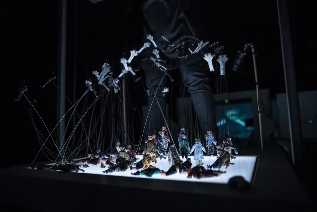 Misterij sove. Foto: Jaka Varmuz