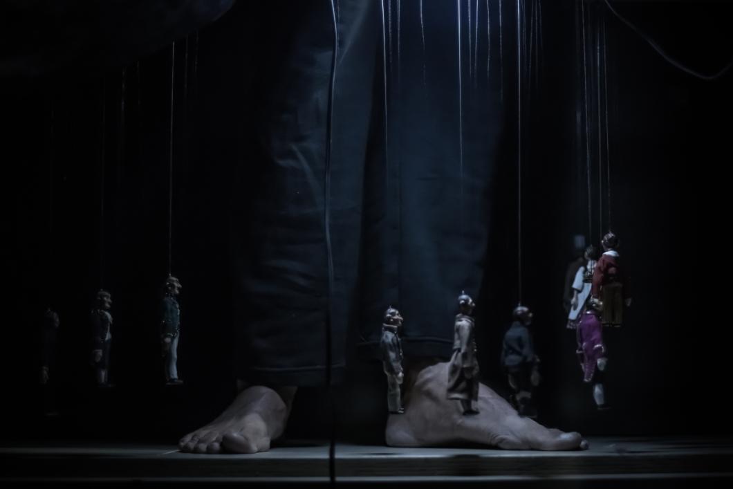 Misterij sove. Foto: Jaka Varmuz