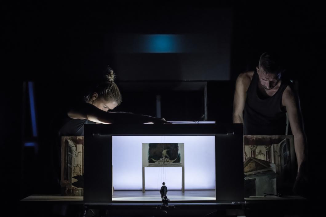 Misterij sove. Foto: Jaka Varmuz