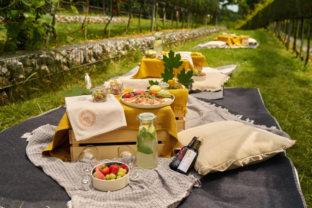 Piknik med grajskimi trtami. Foto: Blaž Žnidarič