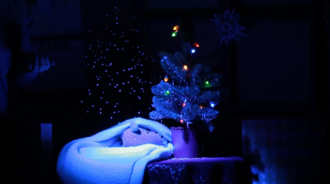 Friderik čaka zimo. Foto: M. Mally