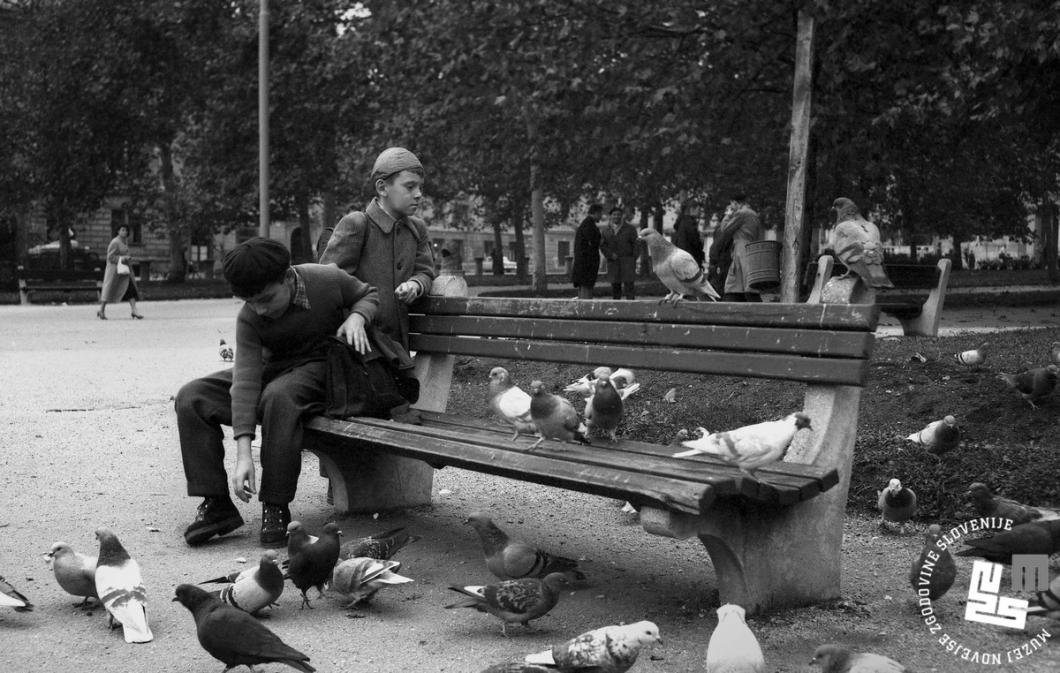 Miloš Švabić, boys on Congress Square, Ljubljana, November 1958, Delo Newspaper Collection, inv. no. DE1225_10.