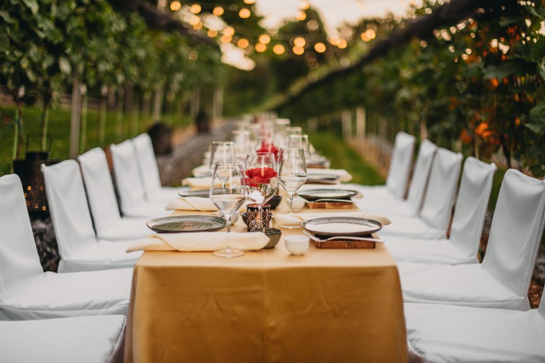 Večerja v Grajskem vinogradu. Foto: Matic Kremžar