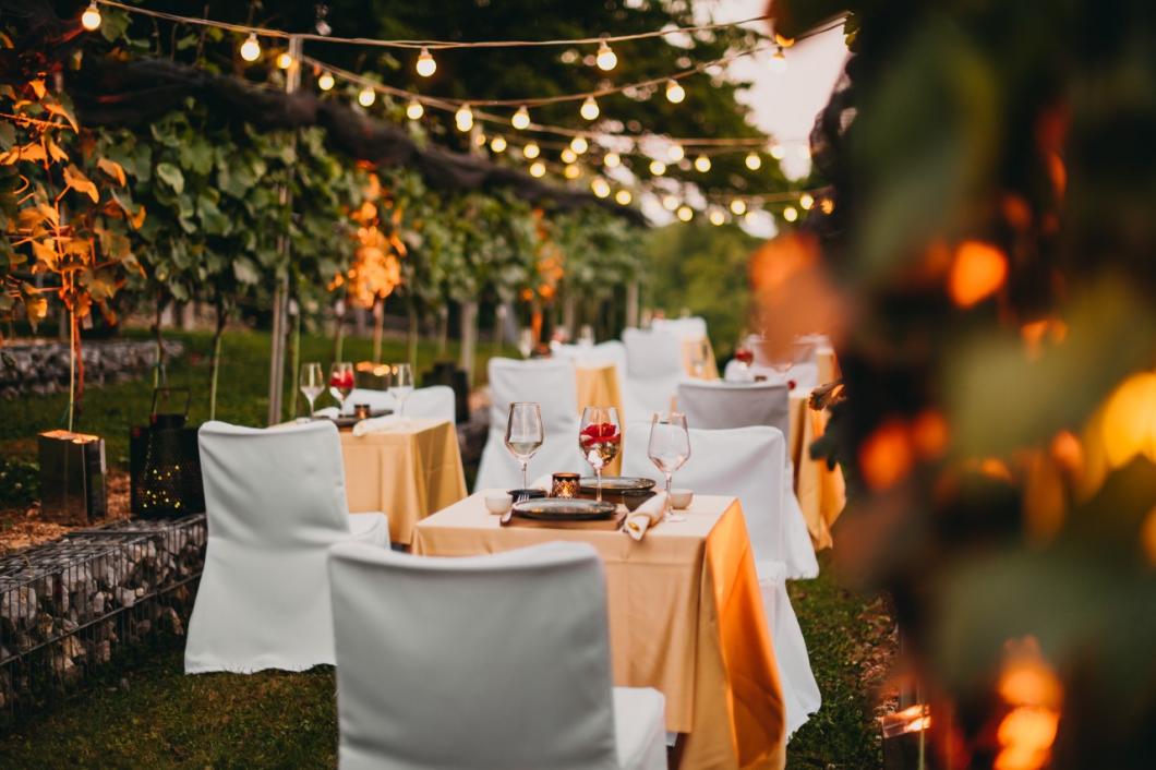 Dinner in the Castle Vineyard. Photo: Matic Kremžar