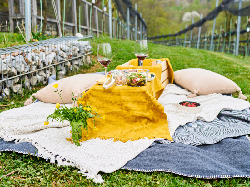 Picknick im Weingarten der Burg