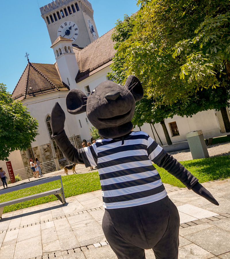 Friderik, grajska podgana kot maskota na Grajskem dvorišču. Foto: arhiv LG