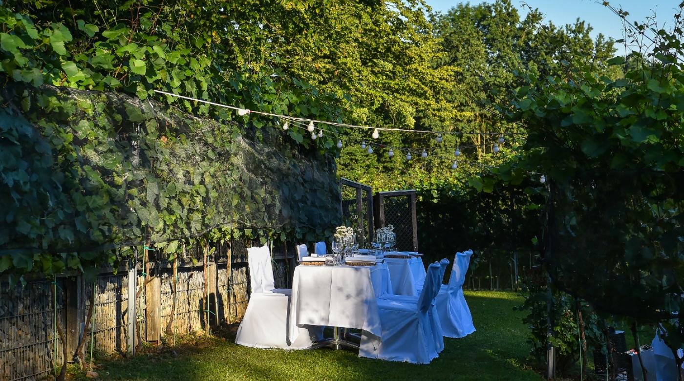 Večerja v Grajskem vinogradu s chefom Igorjem Jagodicem. Foto: Peter Irman