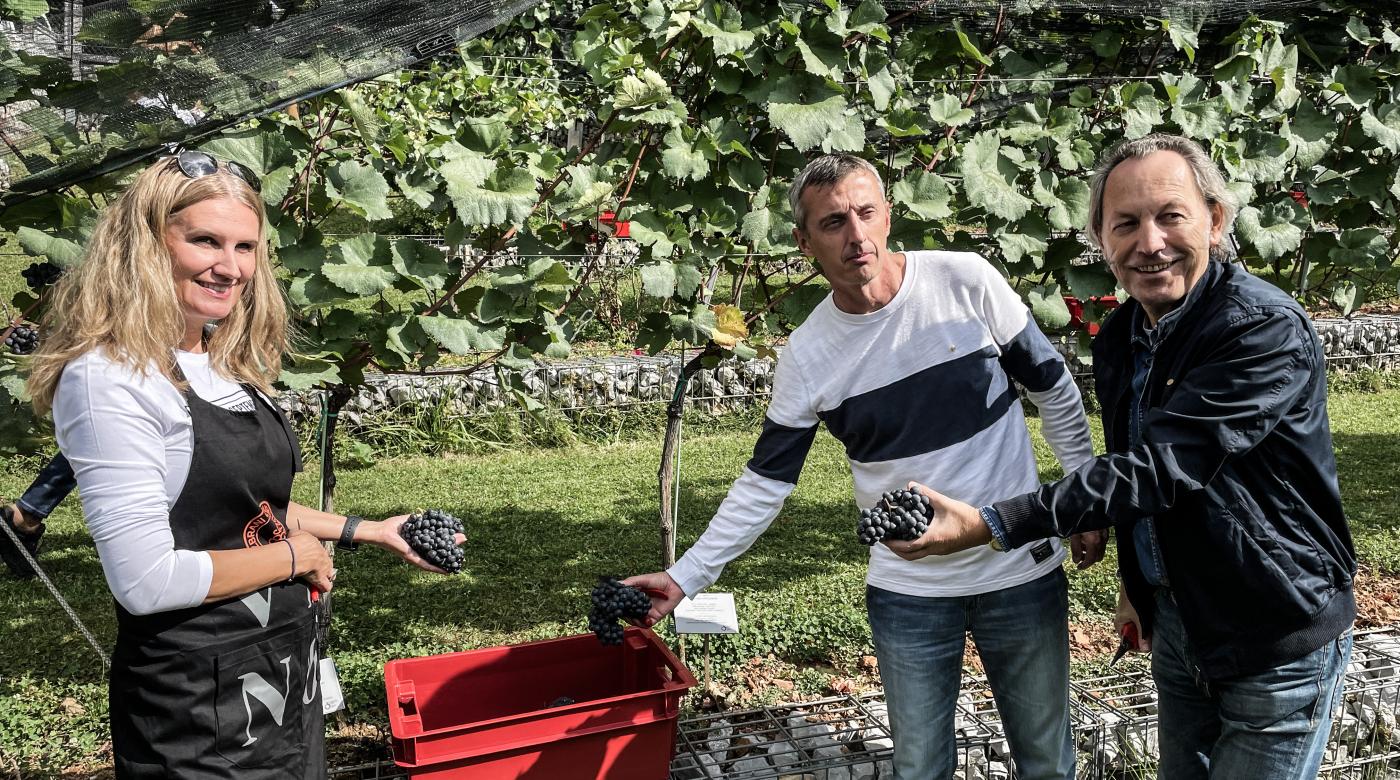 Mateja Avbelj Valentan, direktorica Ljubljanskega gradu; dr. Franci Čuš, Kmetijski inštitut Slovenije in Edi Berk, pretor Častivrednega vinskega konventa Sv. Urbana v Ljubljani.