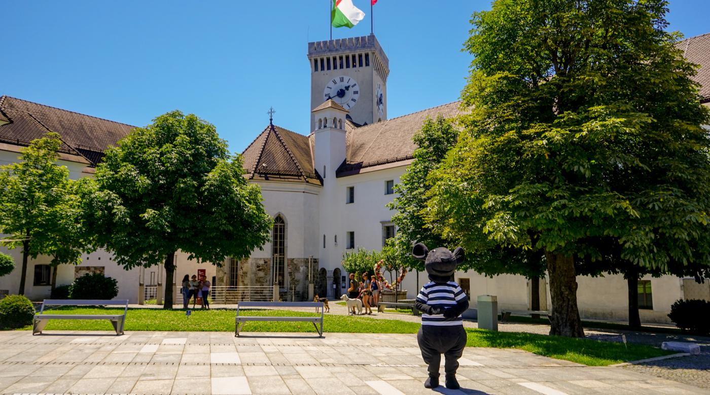 Friderik, grajska podgana. Foto: arhiv LG