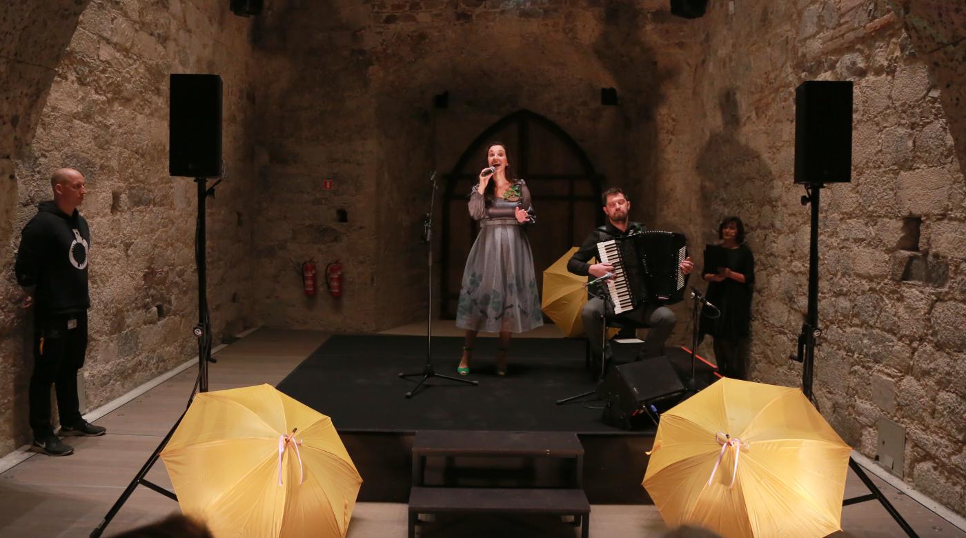 Odprtje prostorske projekcije Ko ilustracije oživijo. Foto: Miha Mally