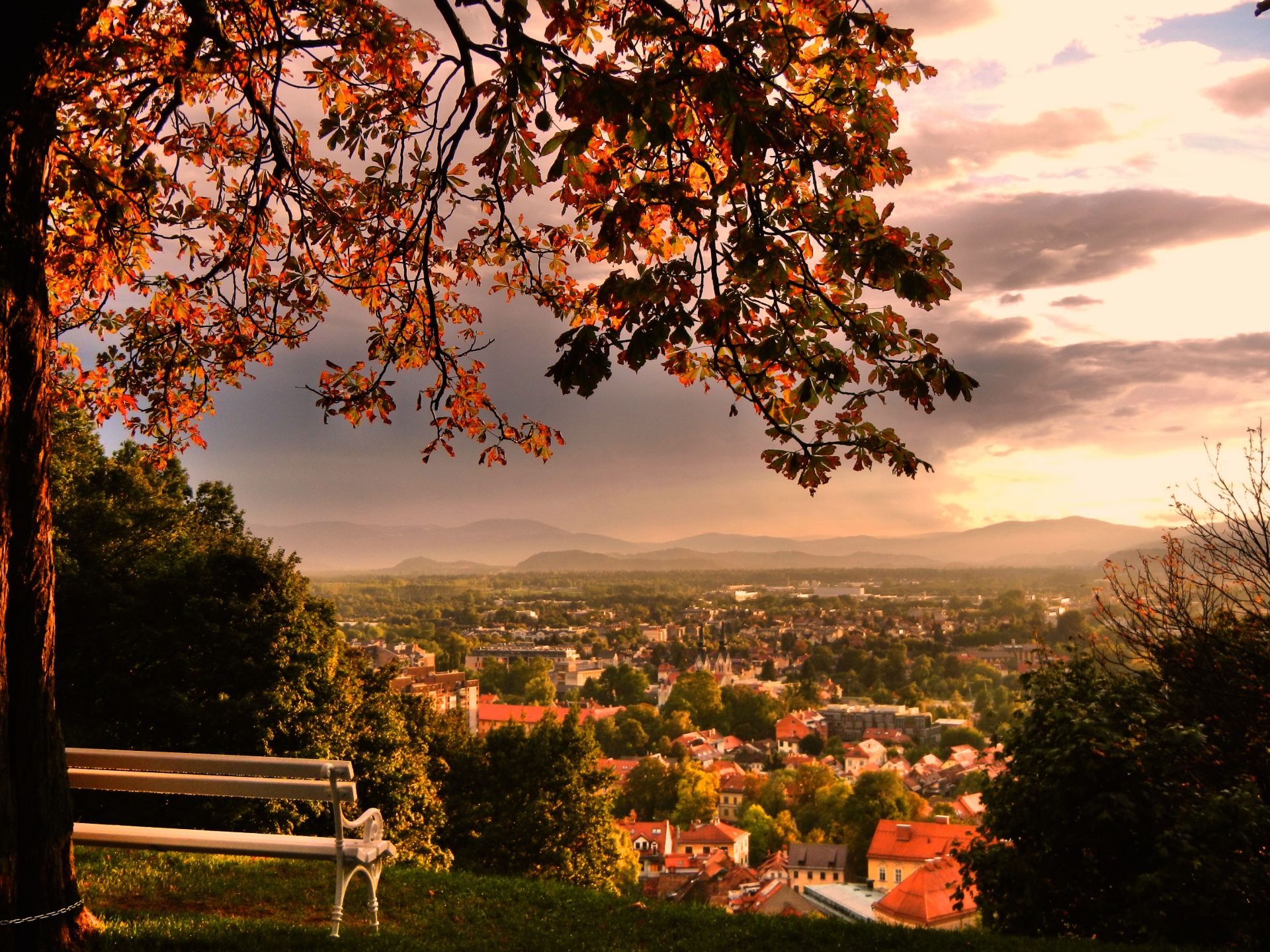 Pogled na Ljubljano iz Grajskega drevoreda. Foto: Jernej Pogačnik