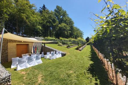 Wine Cellar in the Vineyard