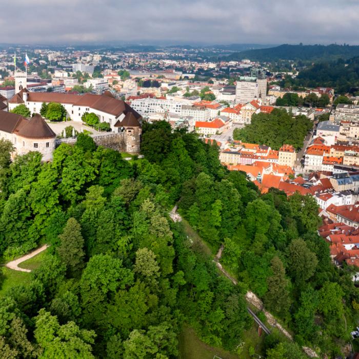 Sečnja na območju jugo-vzhodnega dela Grajskega griča