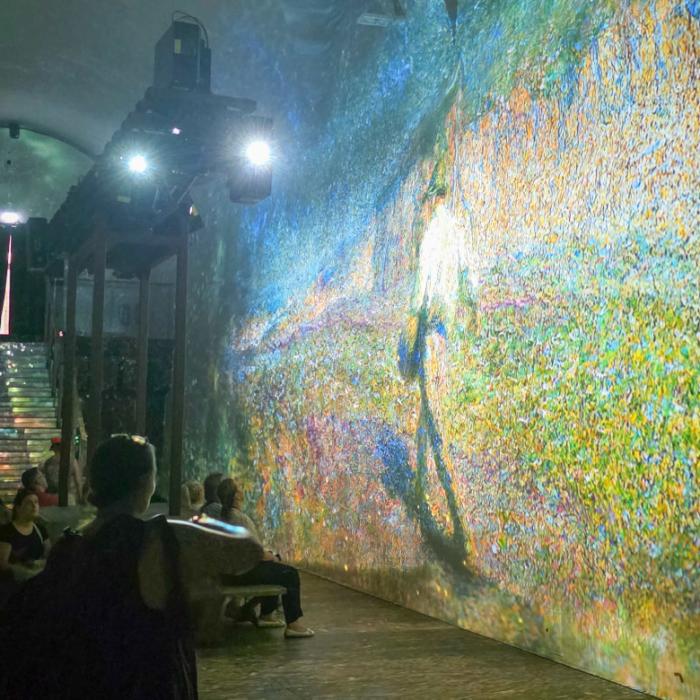 Prostorska projekcija V objemu impresionizma. Foto: arhiv LG