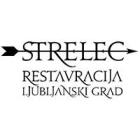 logo strelec
