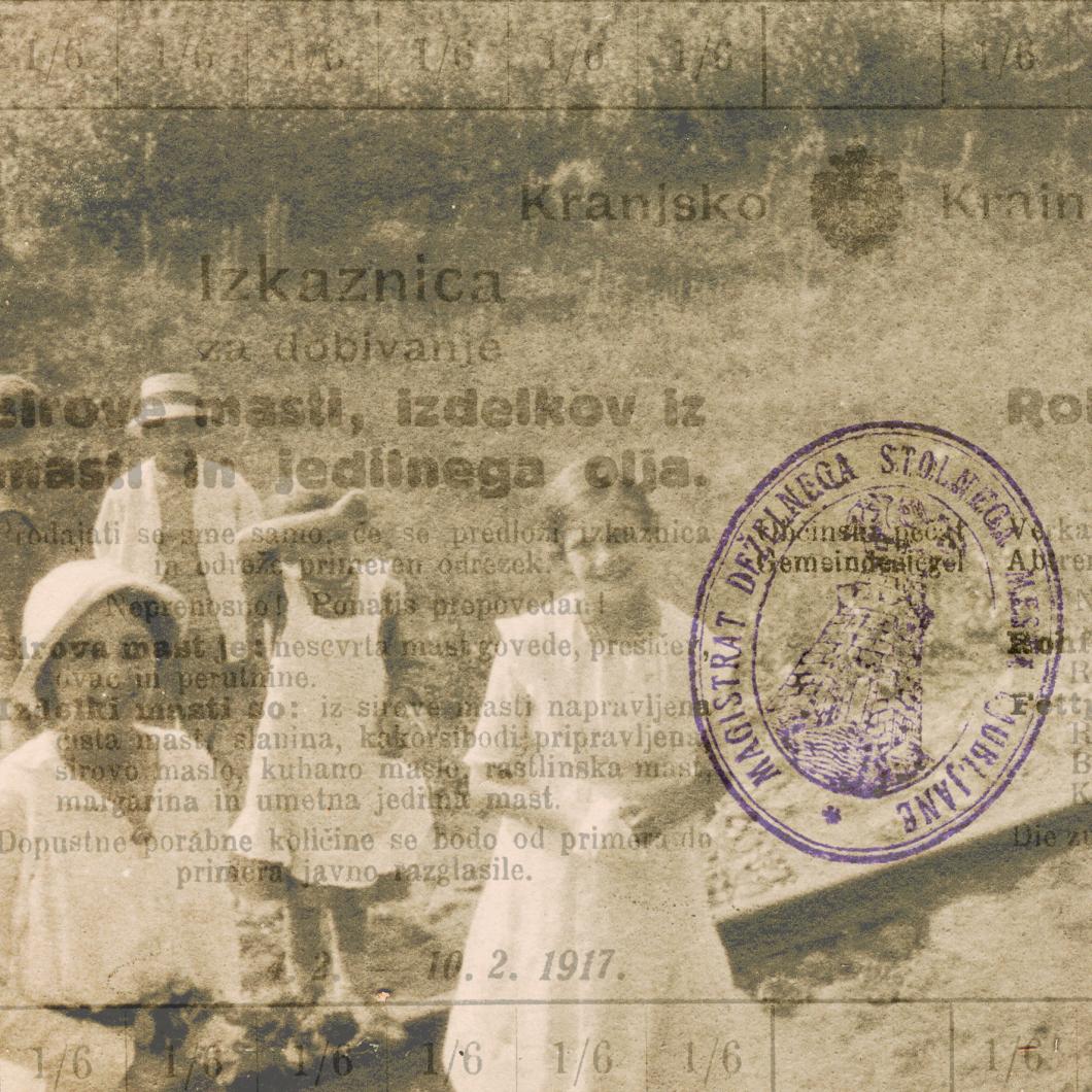 Ljubljana A Century Ago